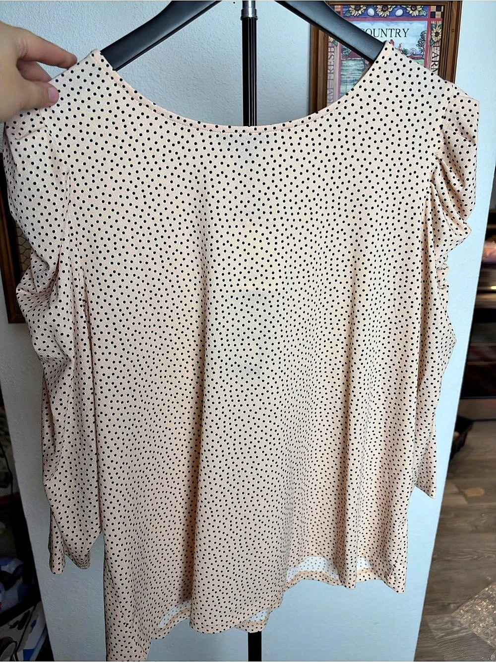 Adrianna Papell Polka Dot Blouse in Pink & Black XL NWT